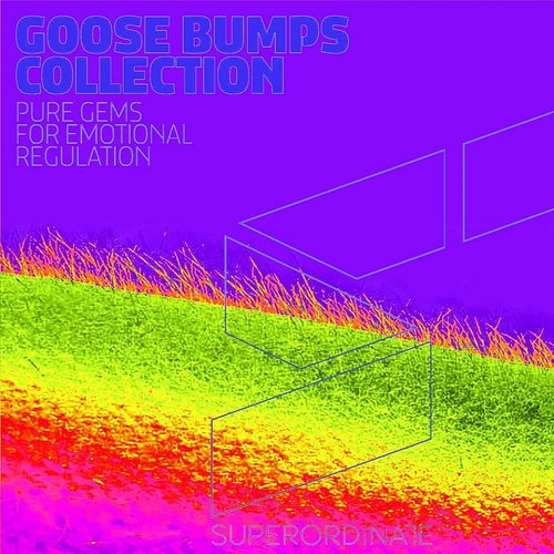 VA - Goose Bumps Collection Vol 11 [SUPER595]